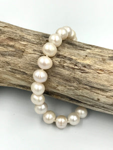 BL0049
